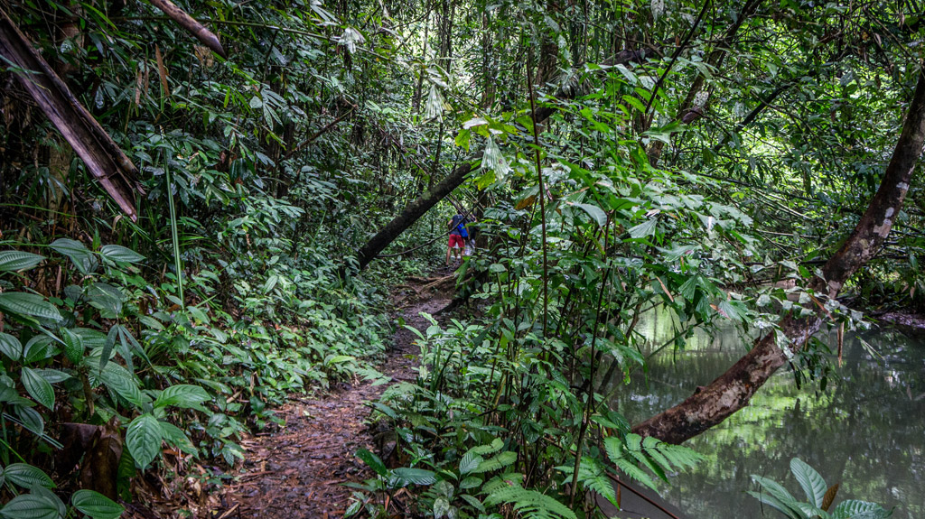 Sa Nang Manora Forest Park - Phang Nga